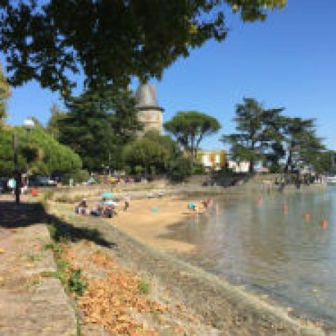 Beach with trees, people sunbathing, and a riverside pathway. This alt text was added with Al; accuracy may vary.
