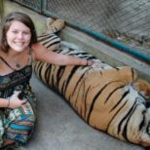 Person smiling and petting a resting tiger behind a fence. This alt text was added with Al; accuracy may vary.