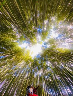 Hailey Kim - Nagoya - 2023 Fall