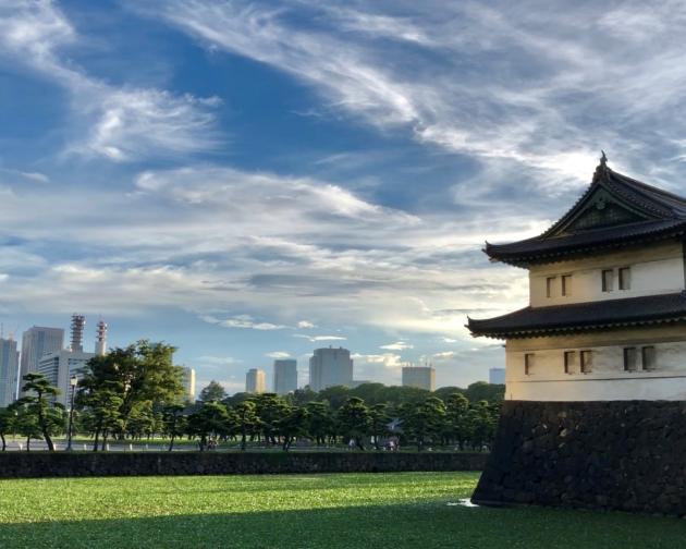 the Imperial Palace in Tokyo with the city in the background