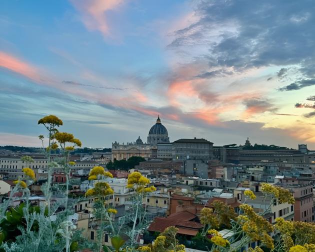 A photo taken amongst yellow flowers with St. Peter's Basilica and Rome in the distance under a sky tinged with pink clouds.