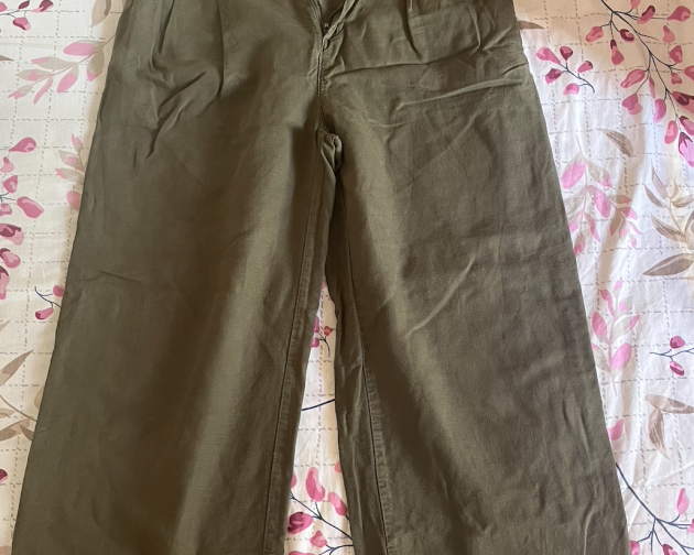 Green Gap linen pleated pants