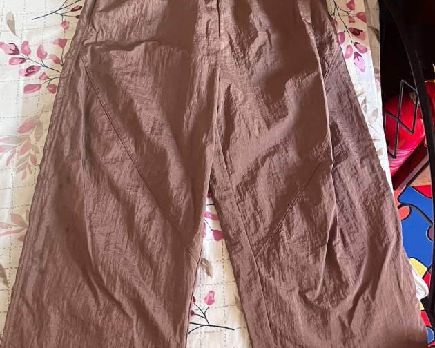 My brown nylon athleta pants