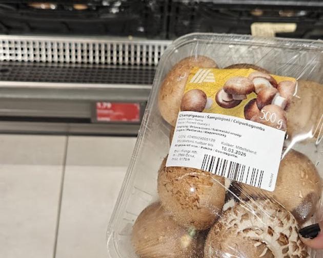 Mushrooms from Hofer.