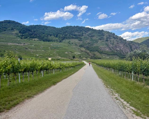 Man biking on long trail
