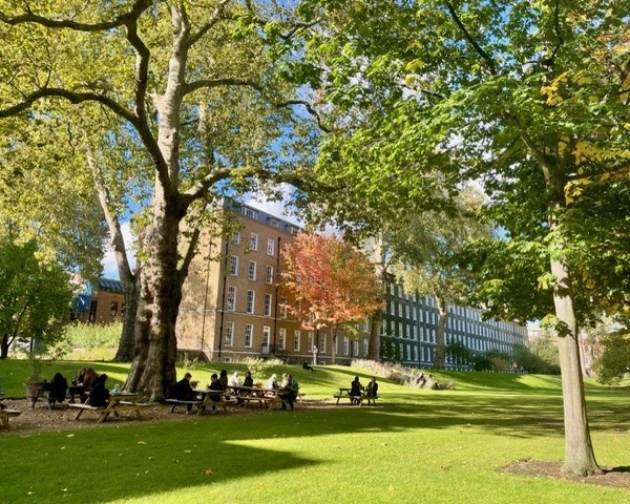 a brick building nestled between trees with sun-glazed grass in the foreground and students sitting on picnic tables