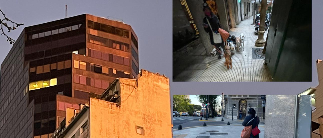 Why You Should Buy Slip-Resistant Shoes for Buenos Aires