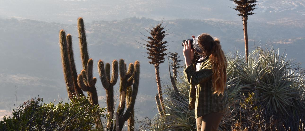 A student takes pictures of cacti in Chile.