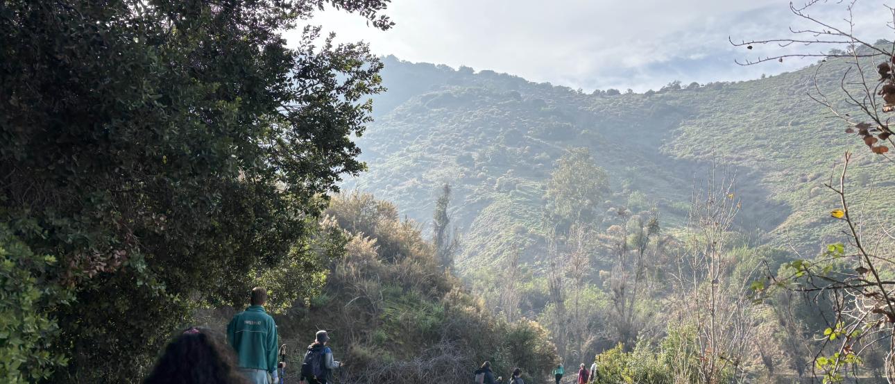 A group of hikers hikes a trail up Cerro El Carbón. The trail is framed by trees and the sky is a beautiful blue.