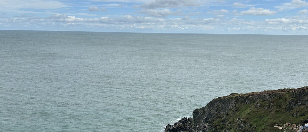 The author sits on a grassy cliffside overlooking the ocean