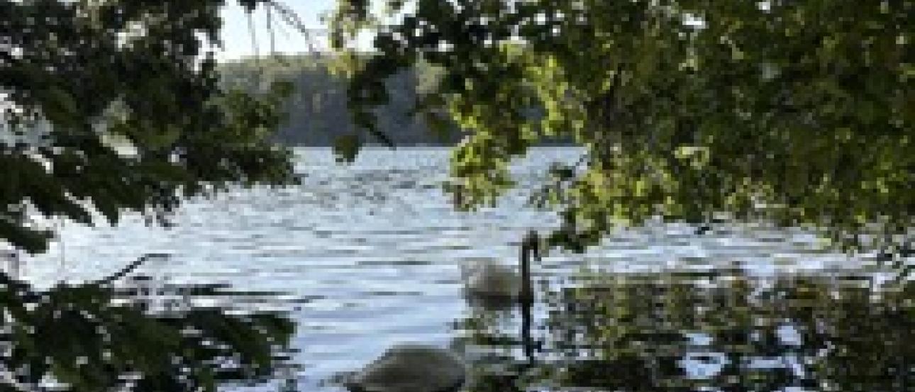 the Schlactensee in Paul Ernst Park