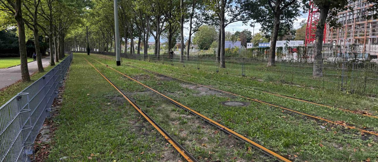 Grassy Tram Lines