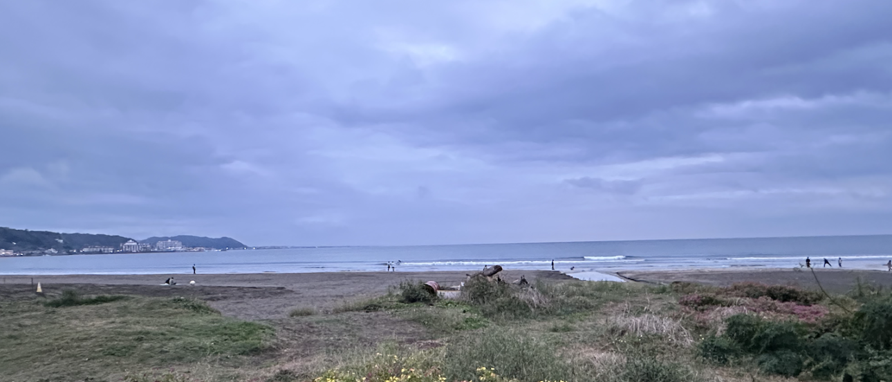 Kamakura Yuigahama Beach pictured from the boardwalk, nearing dusk. The boardwalk is lined with yellow and pink flowers, then sand more in the distance.