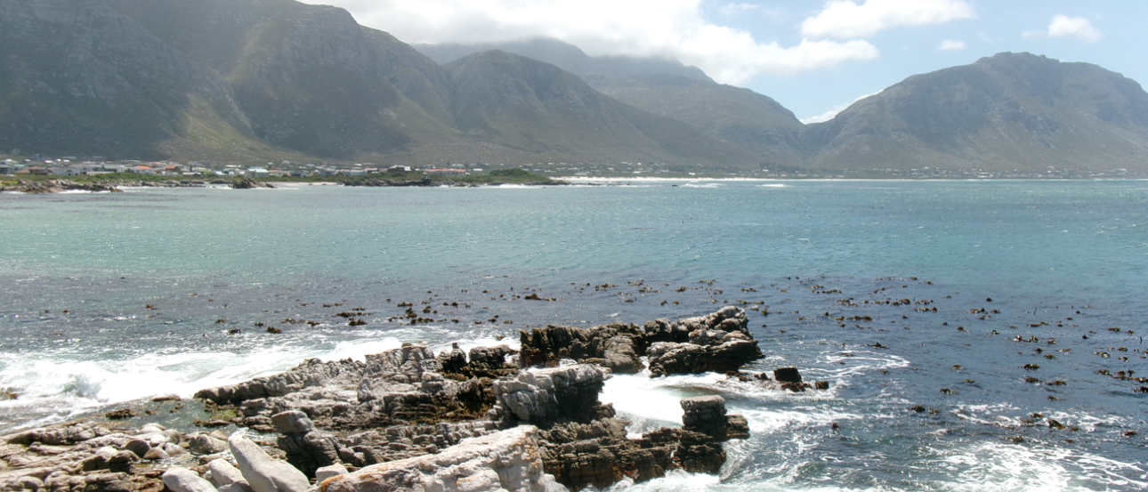 Coast at the Stony Point Penguin Colony, mountains in the distance. 