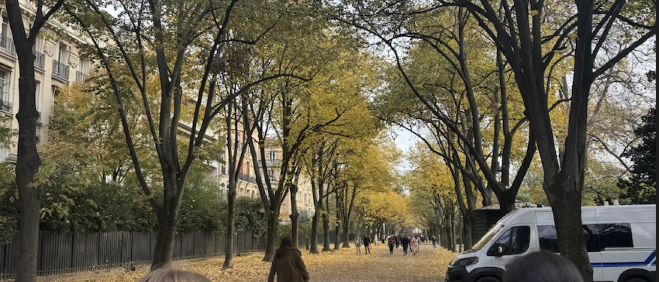 Picture of the leaves falling in Paris