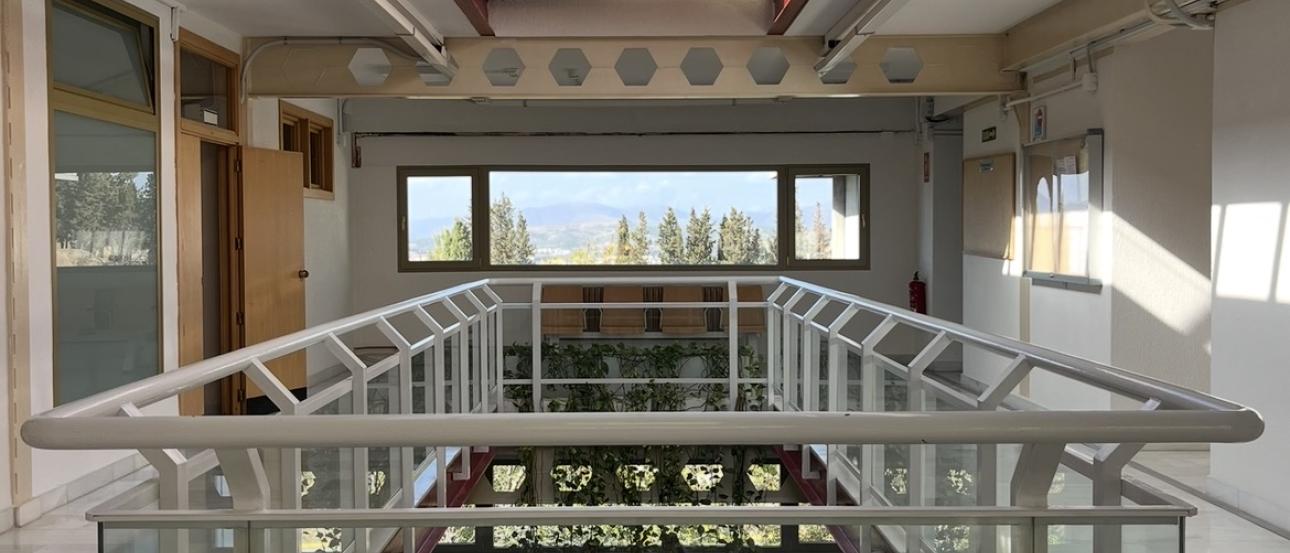 Picture of the interior of the Department of Psychology - lots of trailing vines from the third to second floor balcony. 