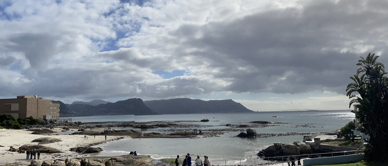 Cape Town Boulders Beach image 
