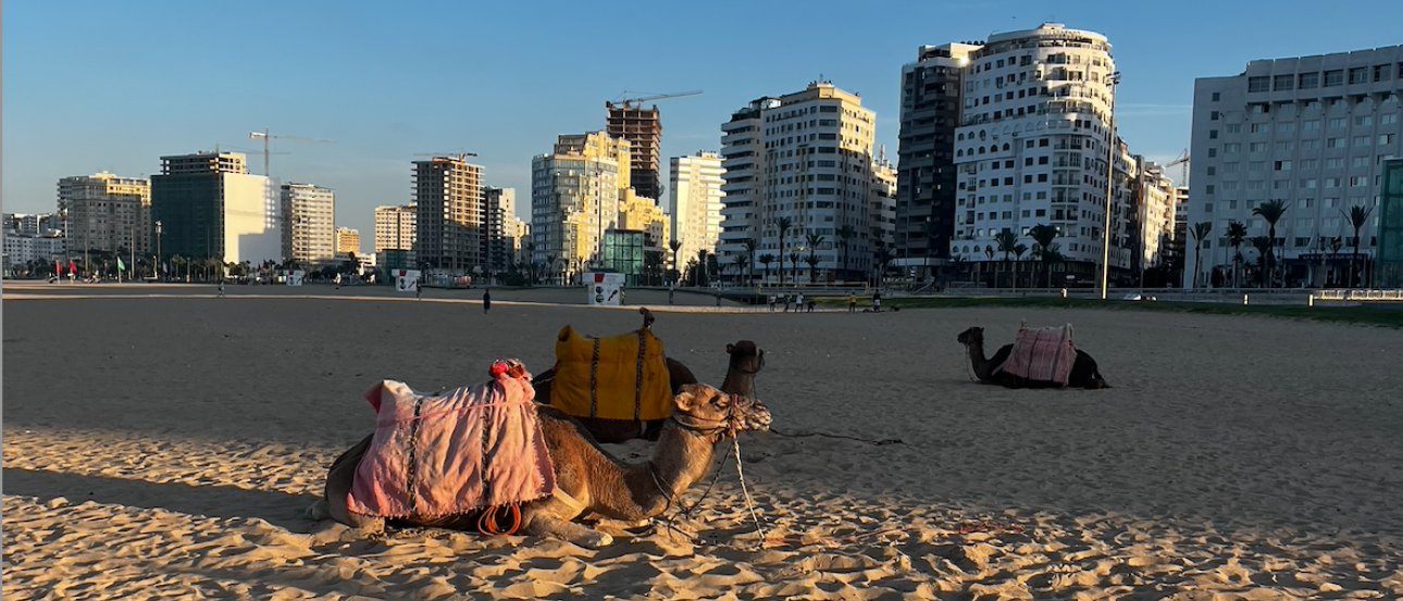 Tangier Beach with a camel