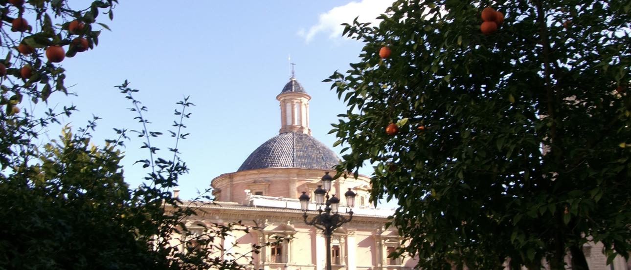 Photo of the Real Basílica de Nuestra Señora de los Desamparados from an orange tree courtyard across the plaza during a sunny day
