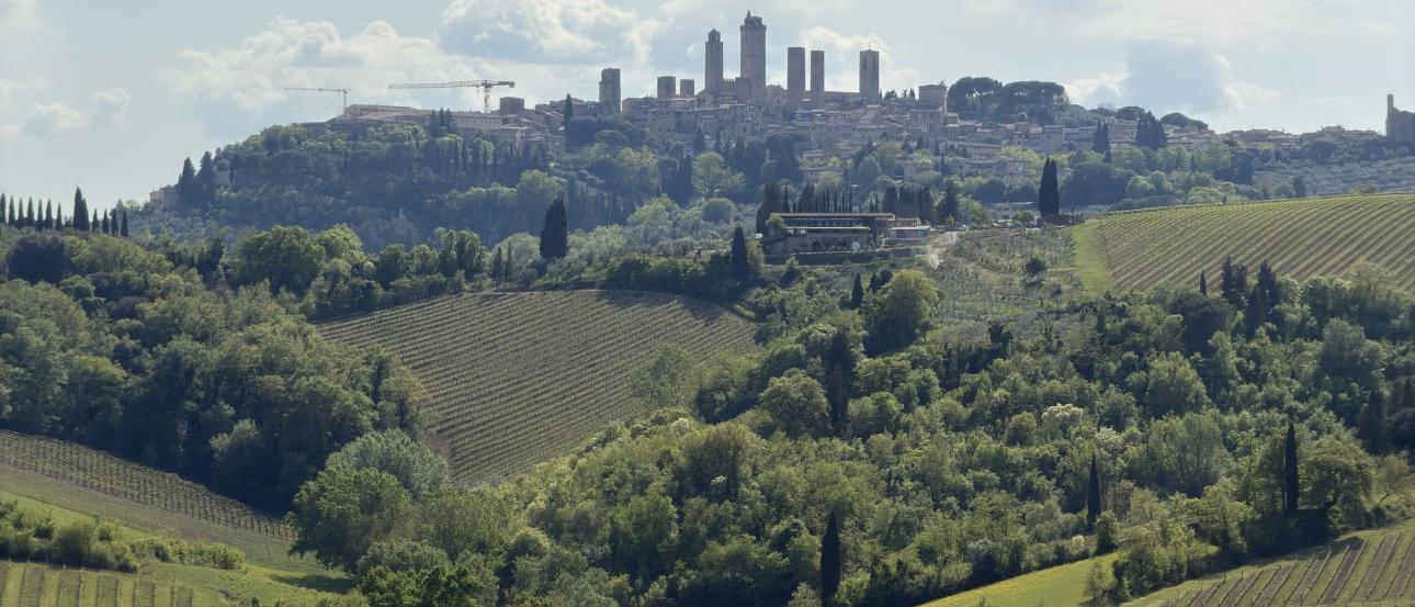 View from Fattoria Poggio Alloro Winery