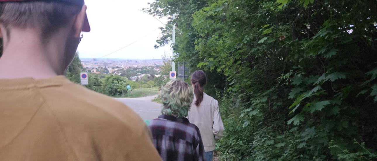 Three friends hike down Kahlenberg as the sun sets over the city.