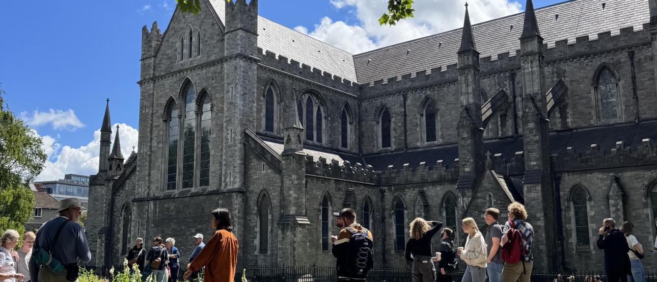 The view of St. Patrick's Cathedral from St. Patrick's Park in Dublin