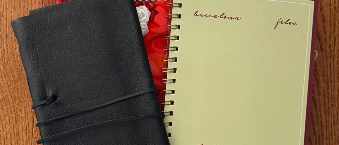 Photograph of my photo albums and scrapbook 