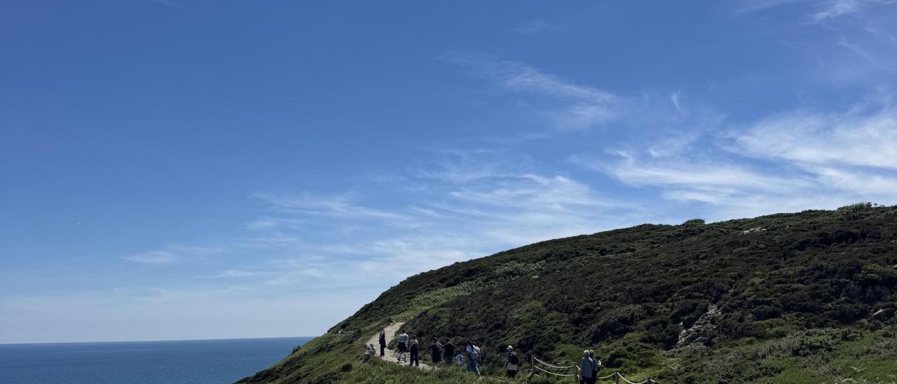 Howth Cliff Walk