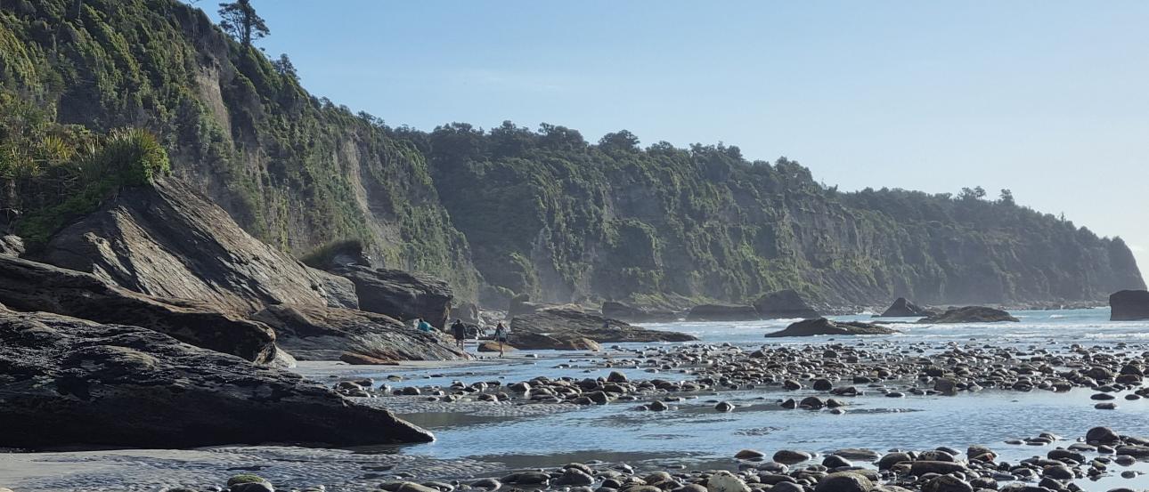 Beach in Aotearoa, New Zealand