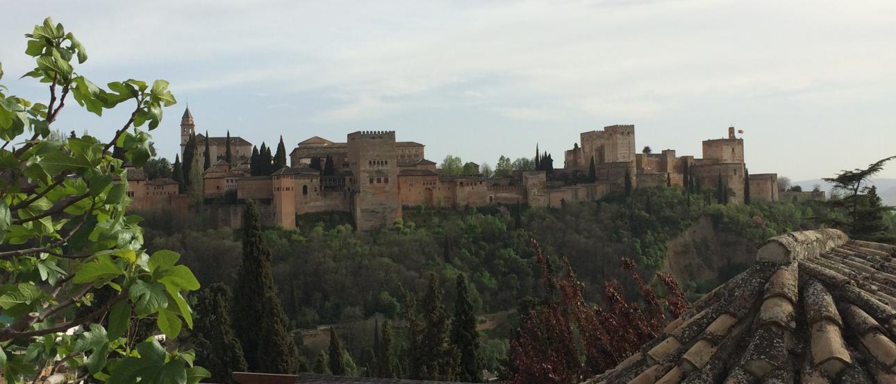 The Alhambra viewed from afar