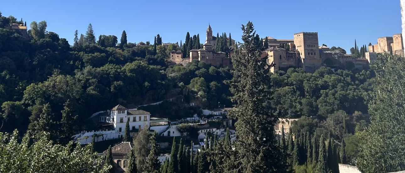 On top of a hill and surrounded by trees lies the Alhambra
