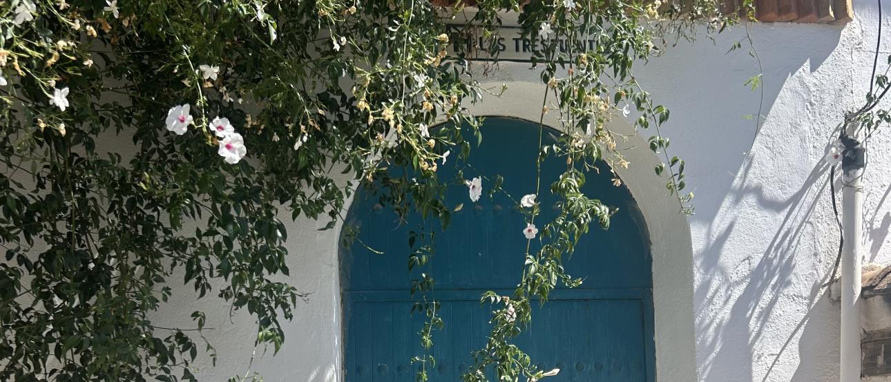 Blue door in the Sacromonte neighborhood