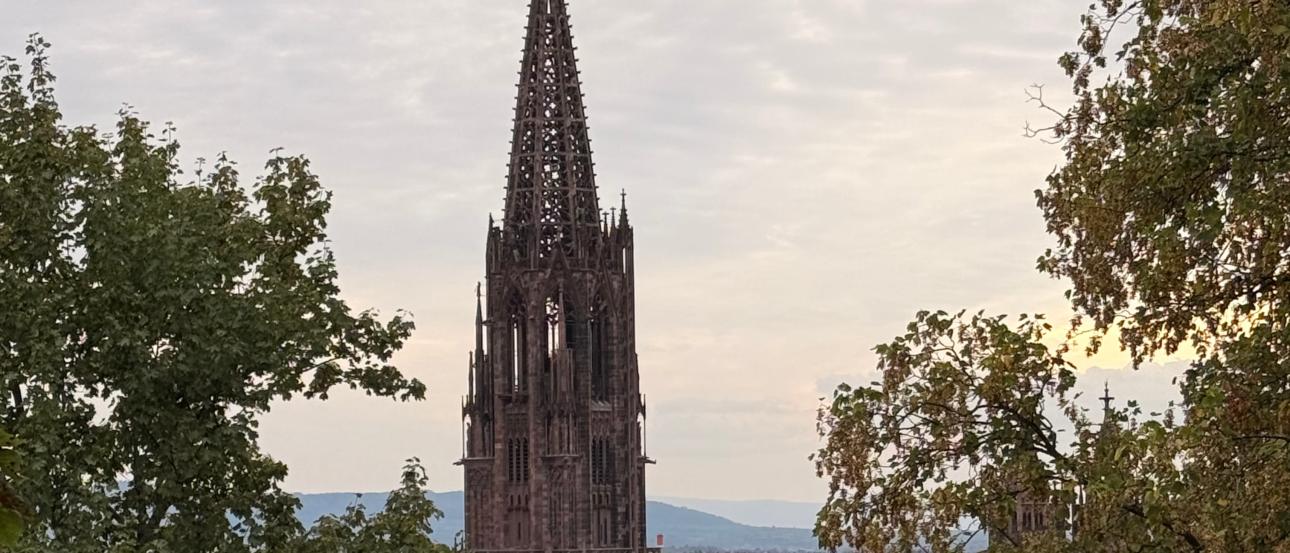 Münster as the sun sets on Freiburg
