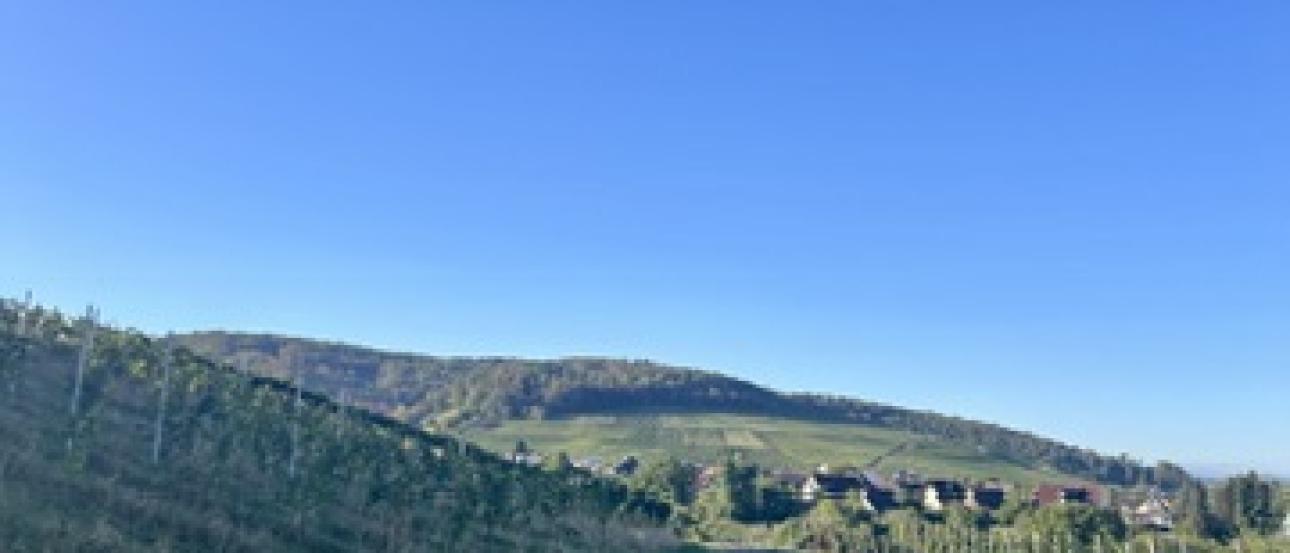 view of the vineyards and surrounding landscape outside of Freiburg, Germany