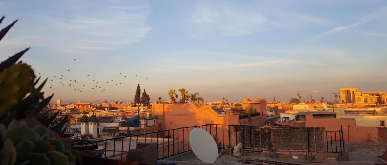 1. Sagrada Familia at dusk, illuminated against a dark blue sky.
2. Park walkway with fallen leaves and a statue on a bench.
3. Rooftop view at sunset with satellite dishes and cityscape. This alt text was added with Al; accuracy may vary.