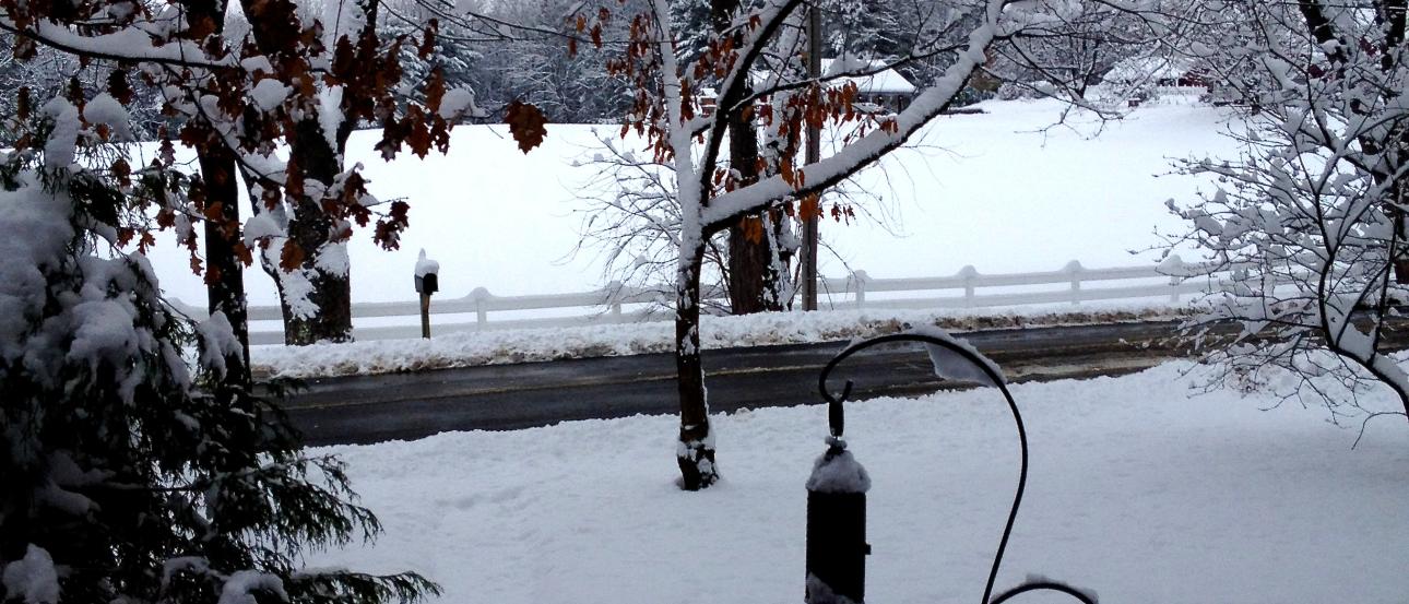 Black suitcase beside orange hiking boots on a light floor.

Woman in black coat smiling at night, cityscape view in background.

Snow-covered yard with bare trees, a bird feeder, and a distant road. This alt text was added with Al; accuracy may vary.