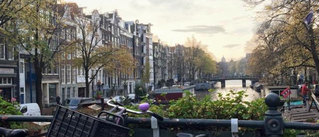 Purple bicycle on a bridge overlooking a canal in Amsterdam, lined with trees and buildings. This alt text was added with Al; accuracy may vary.