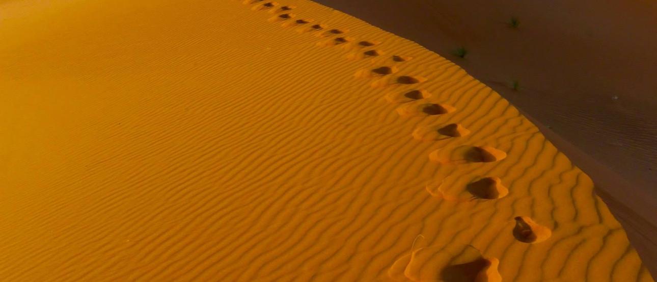 1. Snow-capped mountains at sunrise, purple sky, silhouette of a house.
2. Sunlit forest with snow-covered trees under a clear blue sky.
3. Snowy forest path with frosted trees, serene winter scene.
4. Panoramic view of a lake surrounded by snowy mountains, dusk sky.
5. Footprints in golden desert sand, rolling dunes under a clear sky. This alt text was added with Al; accuracy may vary.
