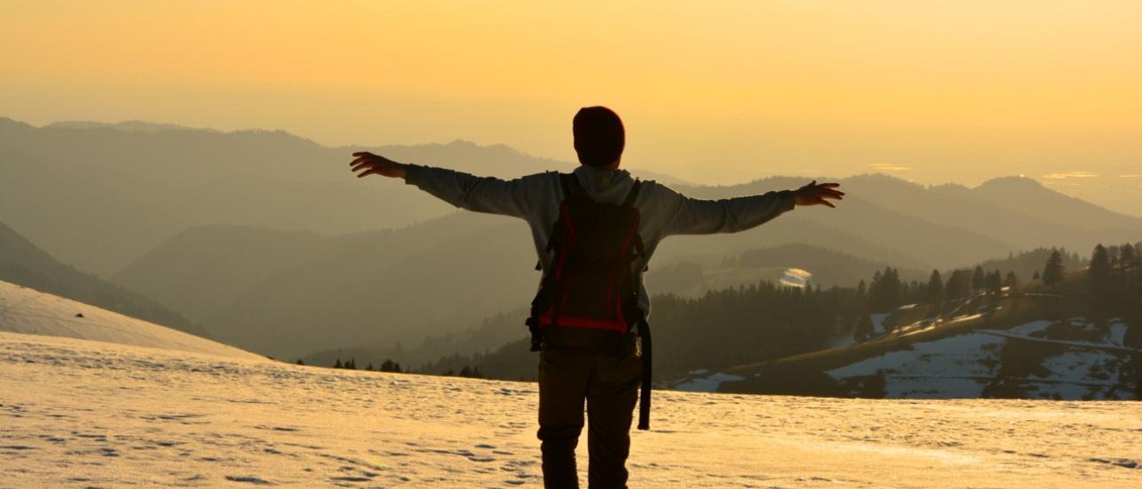 Shoe with colorful laces and a lizard on a person's ankle. This alt text was added with Al; accuracy may vary.