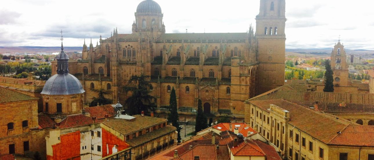 Mexican chocolate discs with intricate designs in brown and black wrappers. This alt text was added with Al; accuracy may vary.