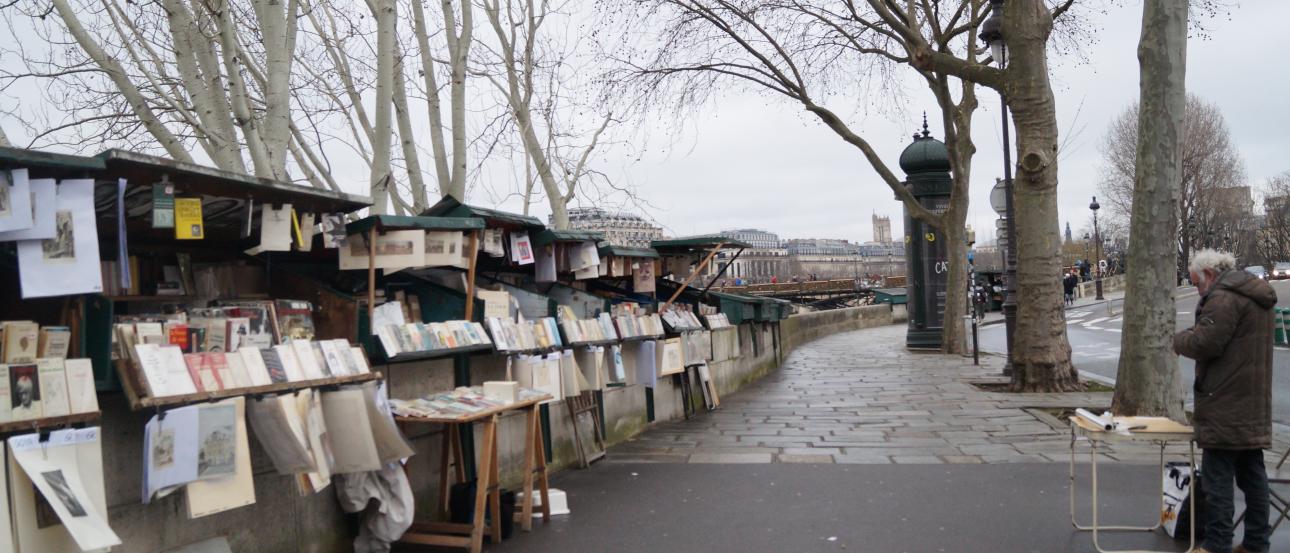 Squirrel hanging upside down on a tree, eating red berries. This alt text was added with Al; accuracy may vary.