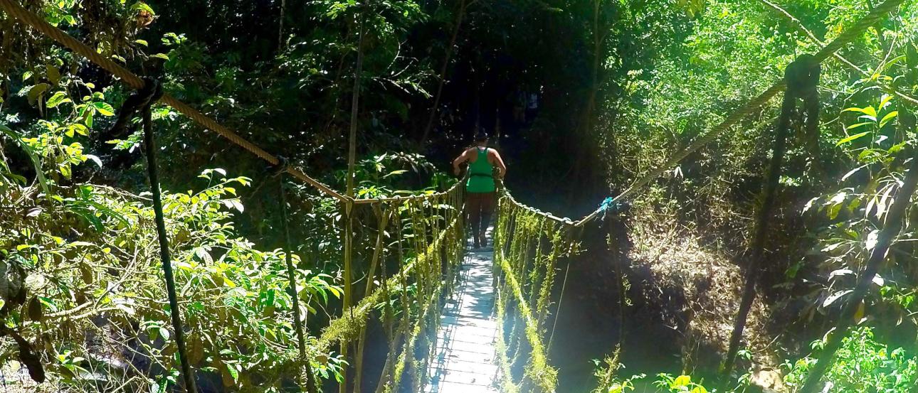 Collage of transportation scenes, riverboat on muddy water, forest sunset, cabins, and jungle bridge. This alt text was added with Al; accuracy may vary.