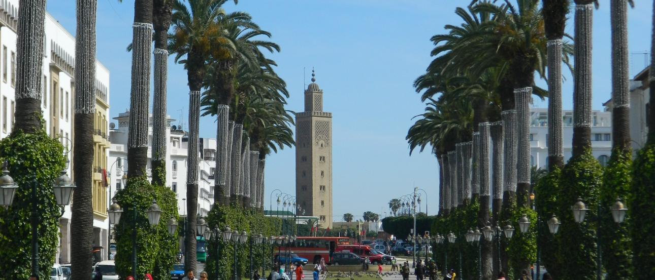 Wide avenue in front of a tower, flanked by palm trees and people walking. This alt text was added with Al; accuracy may vary.