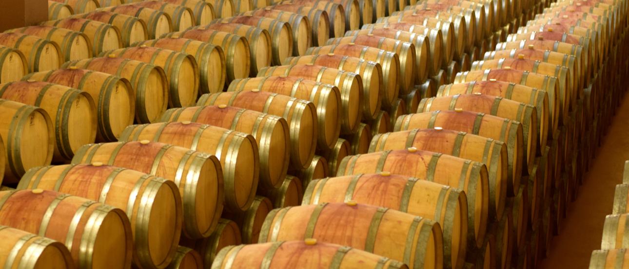 Group of people outdoors, restaurant entrance, woman with dessert, paella dish; rows of wine barrels. This alt text was added with Al; accuracy may vary.