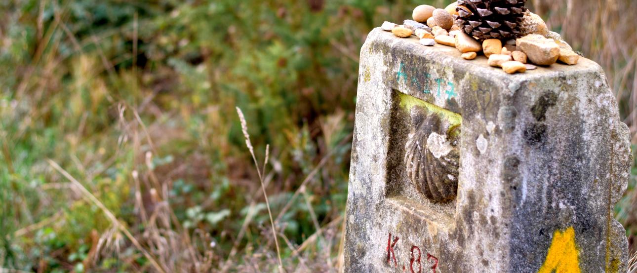 Tokyo skyline with Rainbow Bridge over the bay.

Sunlit path lined with trees, people walking and cycling.

Stone marker with yellow arrow and pine cone on top. This alt text was added with Al; accuracy may vary.