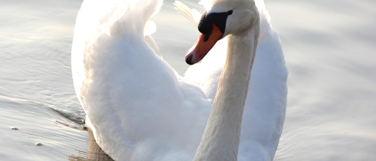 Ornate pub sign with a traditional brewer illustration. This alt text was added with Al; accuracy may vary.