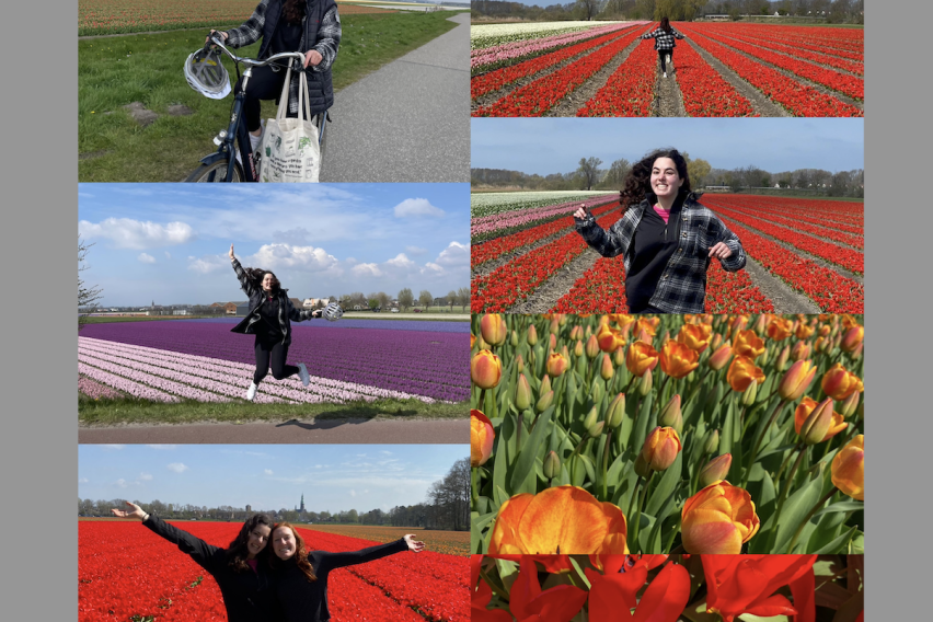 Rachel running in the tulip fields, red and orange tulips, as well as purple and pink hyacinths 
