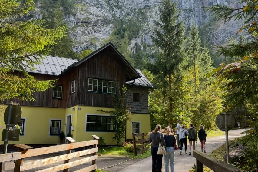 A group of friends walk along a wooded road next to a duckling-yellow house, their backs to the camera. The sun shines through the green leaves, some already yellow with the changing of the seasons.