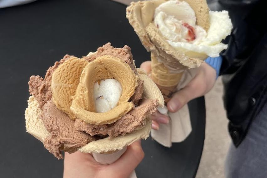 Two hands hold out icecream cones with the icecream shaped like flowers