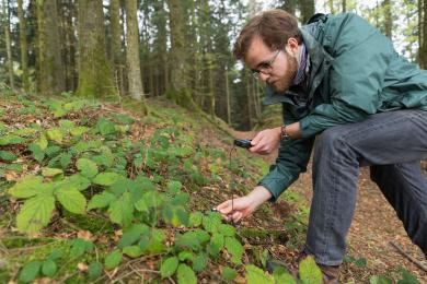 student on an Environmental Studies & Sustainability course looking at a leaf with a magnifying glass